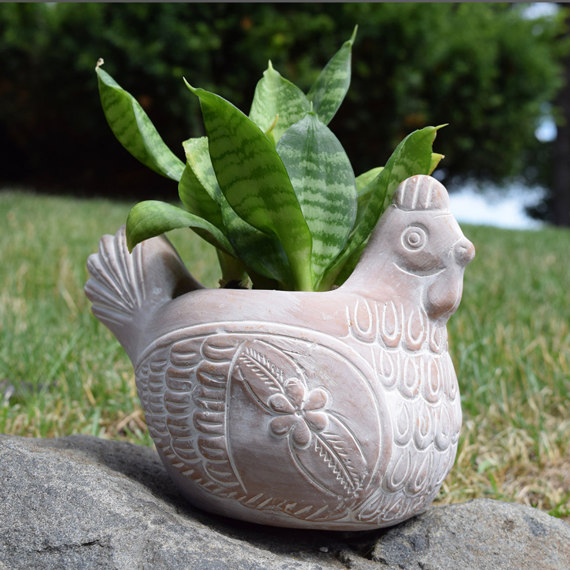 ceramic chicken planter pot Plucky Chicken Planter