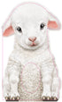 Sourcebooks - Furry Lamb (BB)