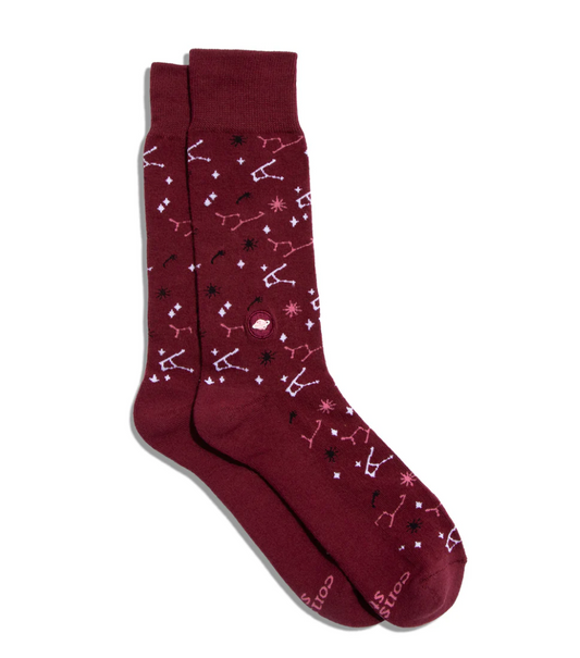 Socks That Support Space Exploration-Sparkling Constellations