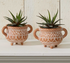 Cauldron Terracotta Planter