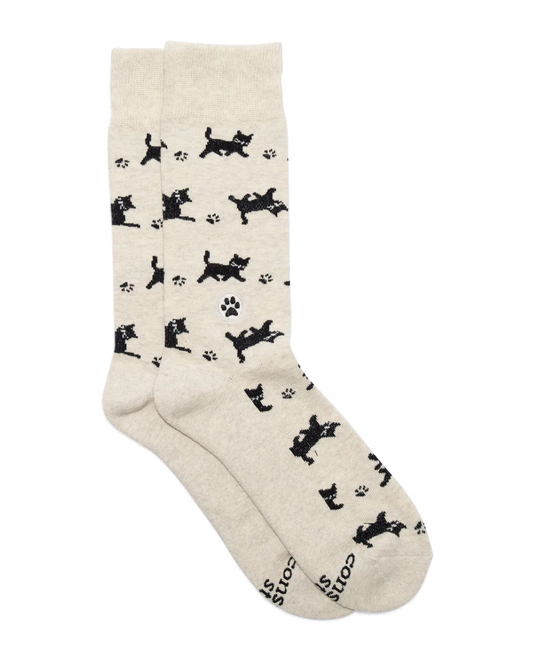 Socks That Save Cats