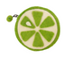 Lime Slice Felt Coin Purse