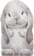 Sourcebooks - Furry Bunny (BB)