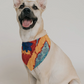 Ishivatva Dog Kerchief - CJ Gift Shoppe