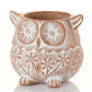 Owl Terracotta Planter - CJ Gift Shoppe