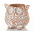 Owl Terracotta Planter
