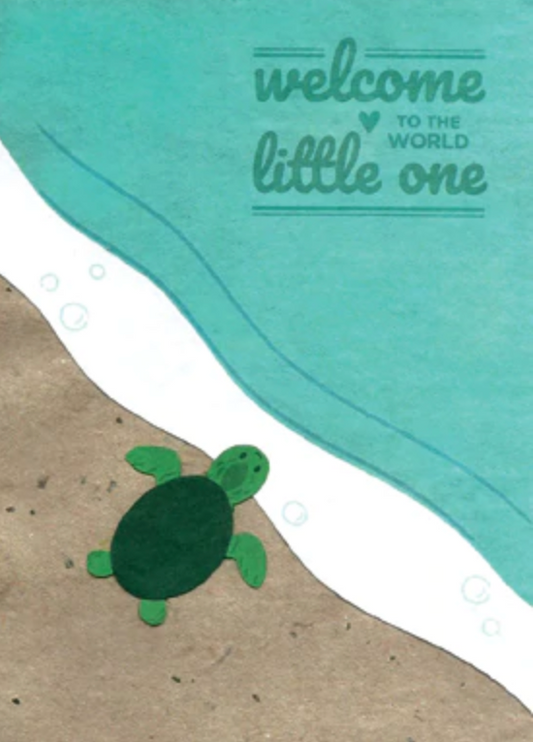 Baby Turtle Congrats - CJ Gift Shoppe