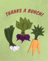 Veggie Bunch Thanks