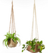 Janjala Plant Hanger