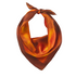 Hali Square Silk Bandana