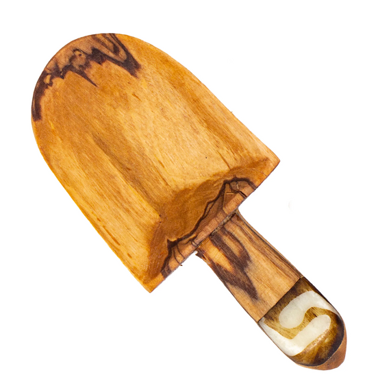 Medium Shovel Olive Wood Scoop