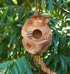 Monkey Coconut Birdhouse