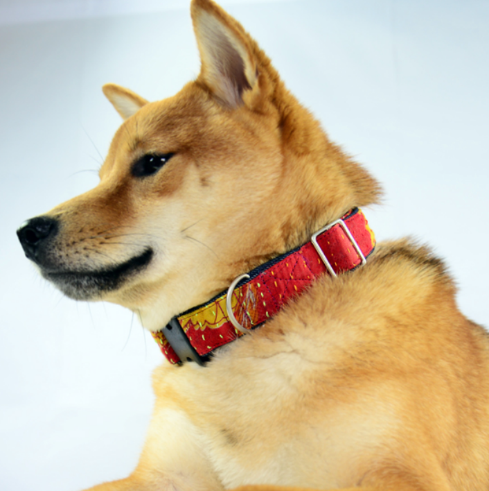 Kantha Dog Collar - CJ Gift Shoppe