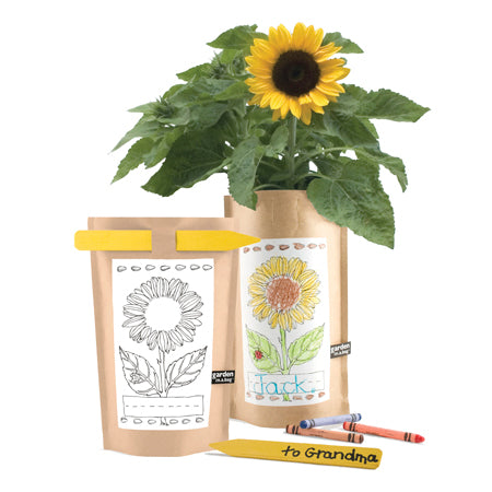 Garden-in-a-bag - Sunflower - CJ Gift Shoppe