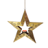 Hanging Star Lantern