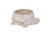 Turtle Terracotta