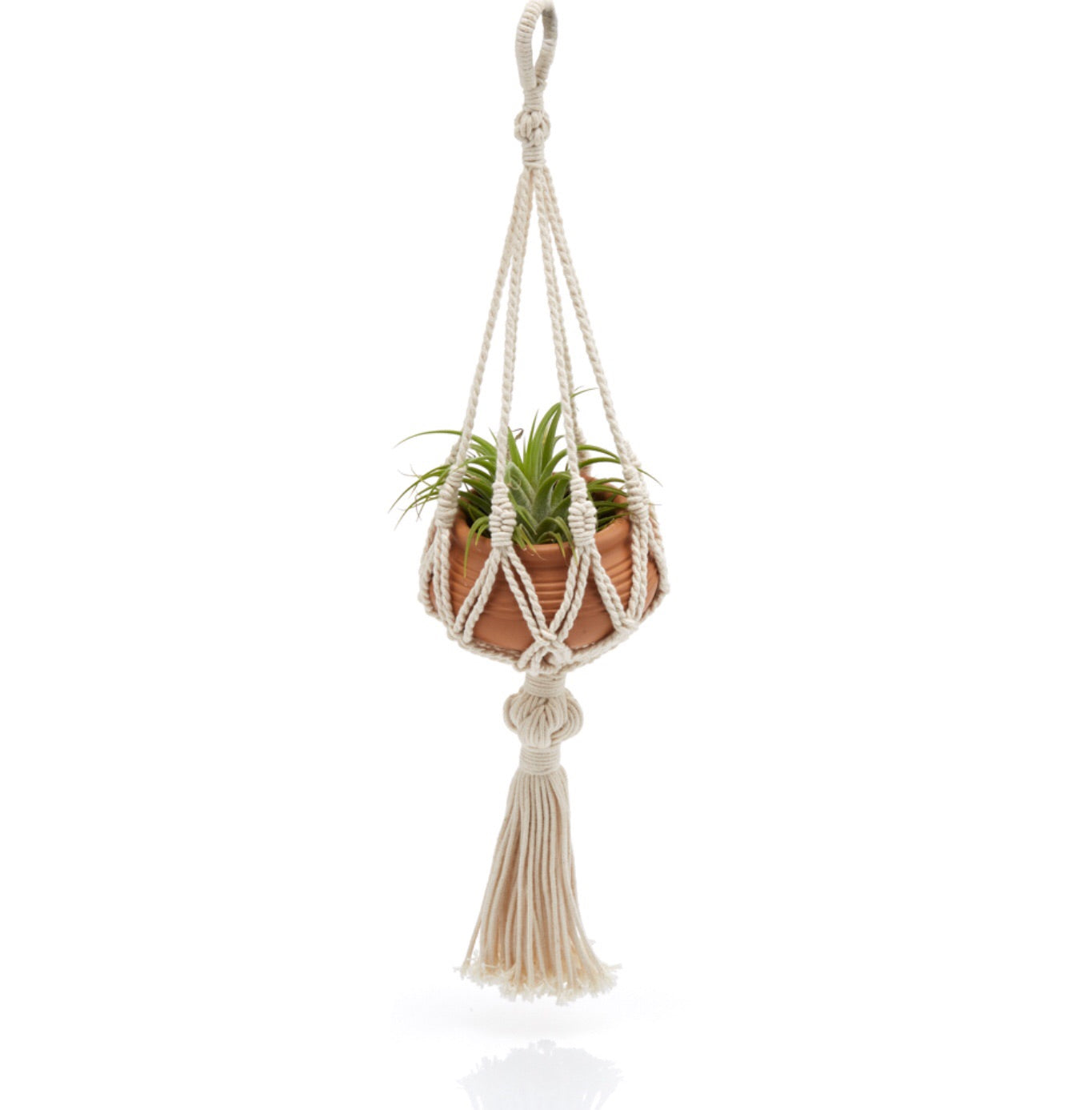 macrame mini plant hanger Mini Macrame Plant Hanger