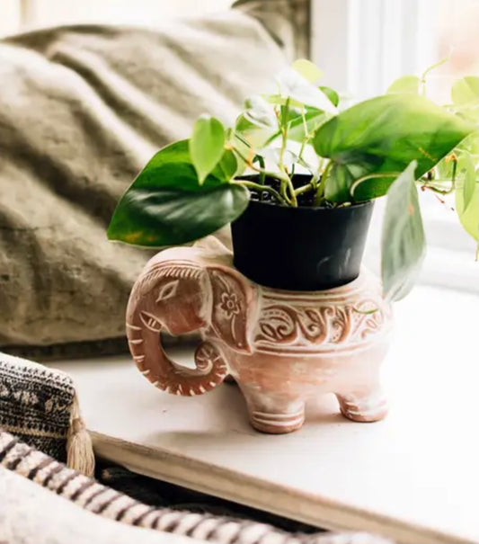 Terracotta Elephant Planter - CJ Gift Shoppe