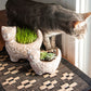 Garden Kitty Terracotta Planter (sm) - CJ Gift Shoppe