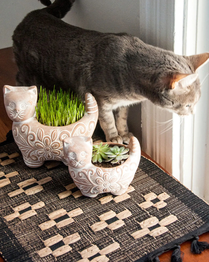 Garden Kitty Terracotta Planter (sm) - CJ Gift Shoppe